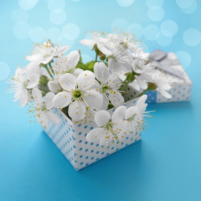 The Almanac Planting Co Gift Card Collection: A gift box with white flowers emerging from it against a light blue background.