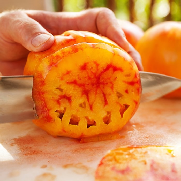 Almanac Planting Co Pineapple Tomato. This tomato is being sliced open with a knife. The marbled yellow, orange, and red flesh is exposed.
