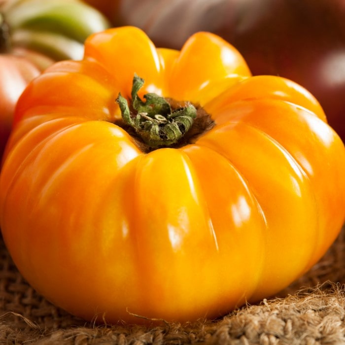 Almanac Planting Co Pineapple Tomato. A heirloom tomato with a ribbed body and orange skin.
