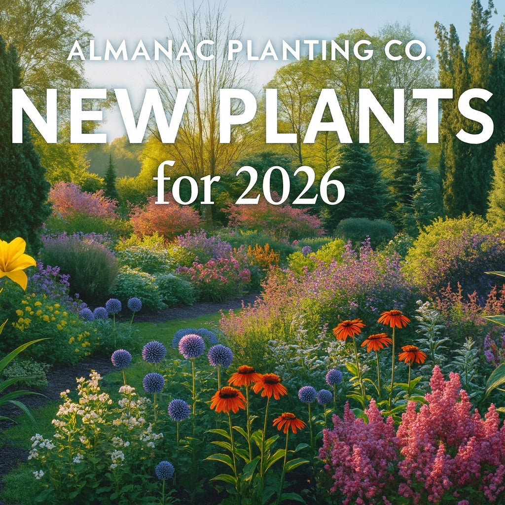 10 Best Tips for Finding a Local Garden Plant Shop