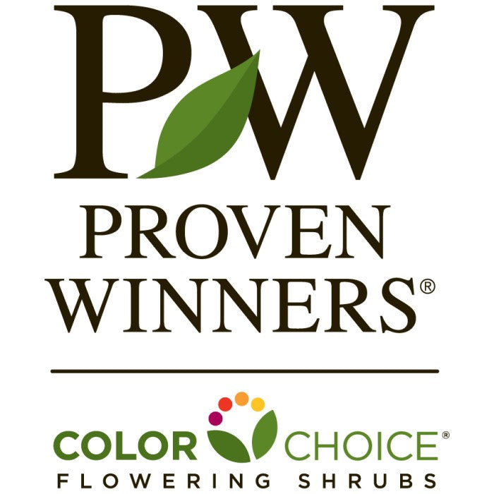 Proven Winners Color Choice Flowering Shrubs