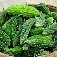 Almanac Planting Co: Fresh Ganjyu Bitter Melon fruits with deep green ridged skin stacked in a harvest basket