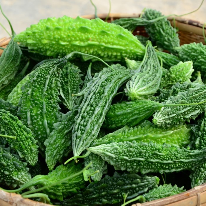 Almanac Planting Co: Fresh Ganjyu Bitter Melon fruits with deep green ridged skin stacked in a harvest basket