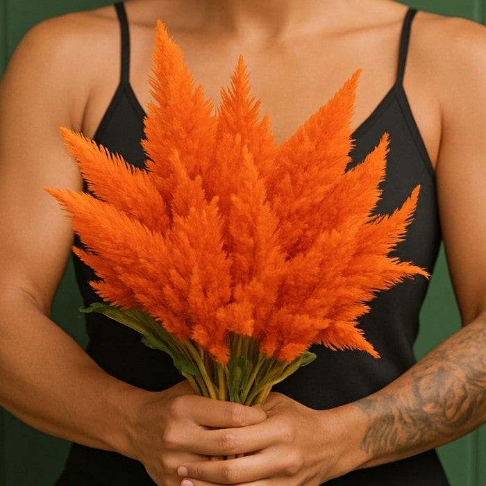 Almanac Planting Co: Celosia ‘Sunday™ Bright Orange’ stems freshly cut for floral use, showing bright orange plumes and green foliage