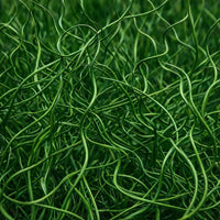 ColorGrass® Twister