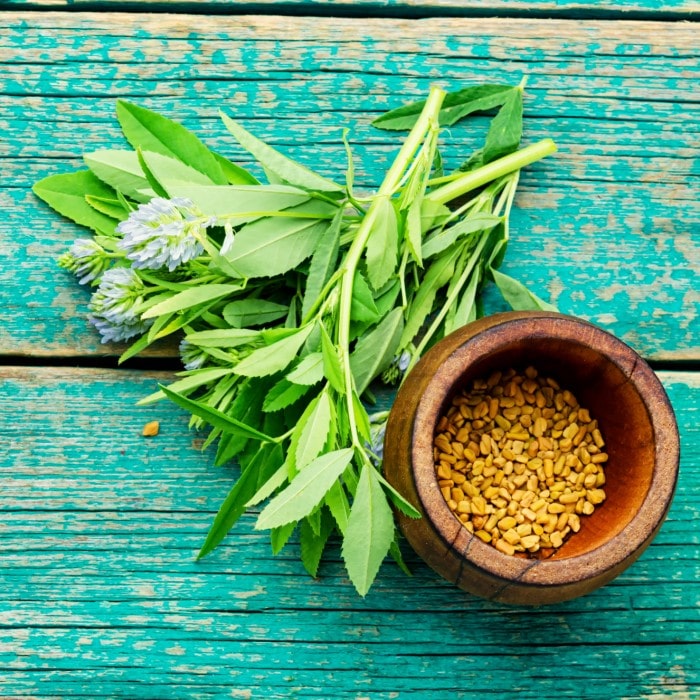 Almanac Planting Co: Fresh Fenugreek leaves and golden seeds displayed in a wooden bowl on turquoise surface