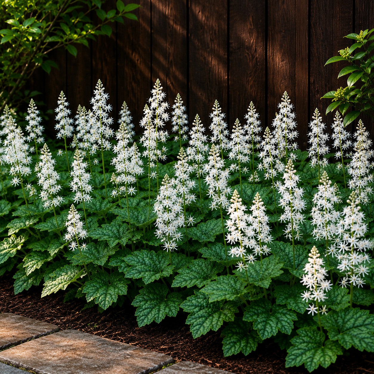 Plants for USDA Zone 6 – Page 9 – Almanac Planting Co