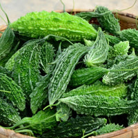 Almanac Planting Co: Fresh Ganjyu Bitter Melon fruits with deep green ridged skin stacked in a harvest basket
