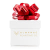 Almanac Planting Co Branded Gift Box. White with a red bow.