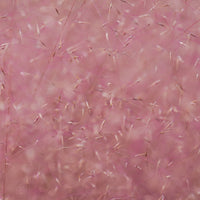 Almanac Planting Co: Close-up of fine pink muhly grass flowers with delicate branching