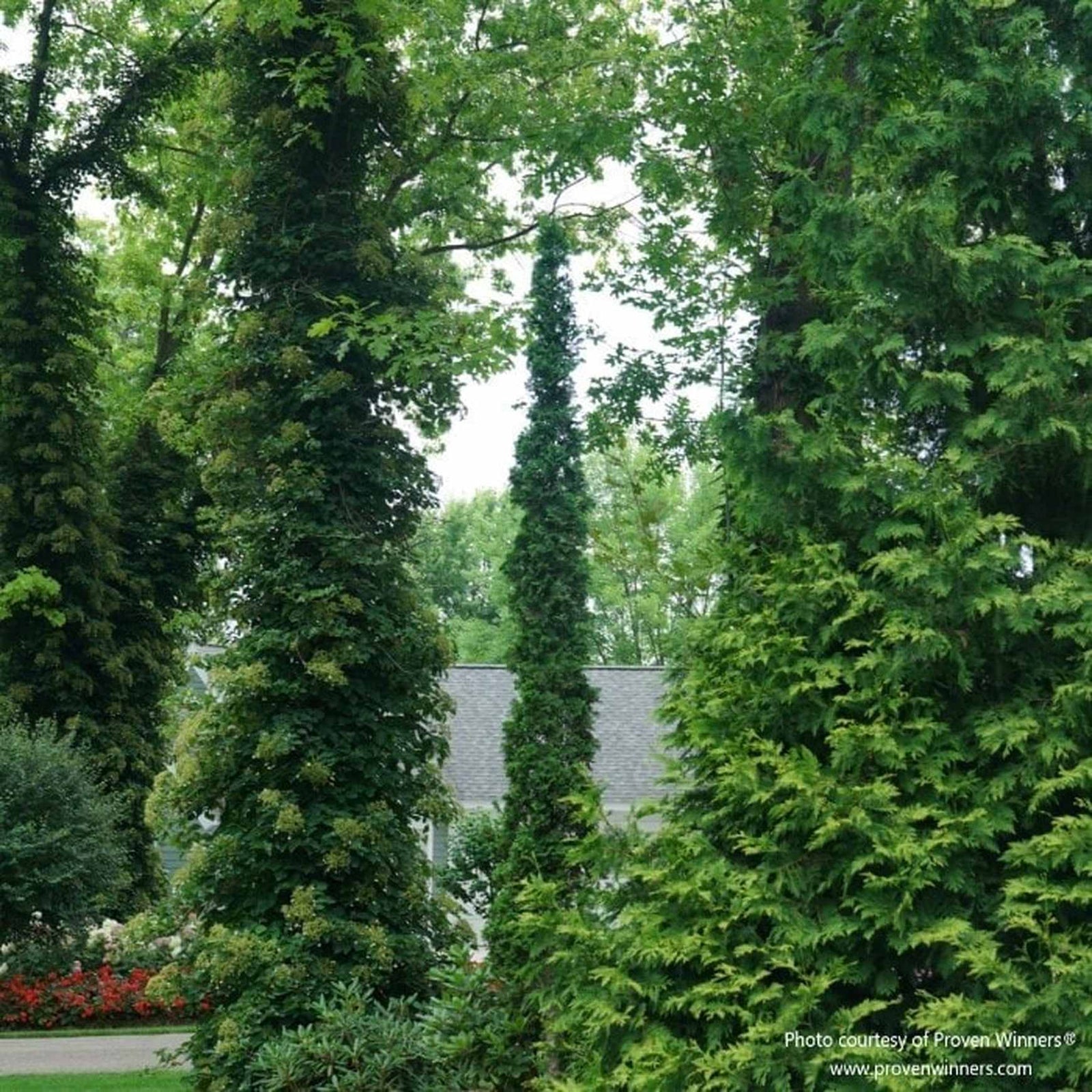 Almanac Planting Co photo 3