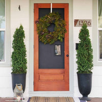 Almanac Planting Co Sting™ Arborvitae by Proven Winners. Two arbs planted in containers on a patio. There is a fresh evergreen wreath on the door between them.