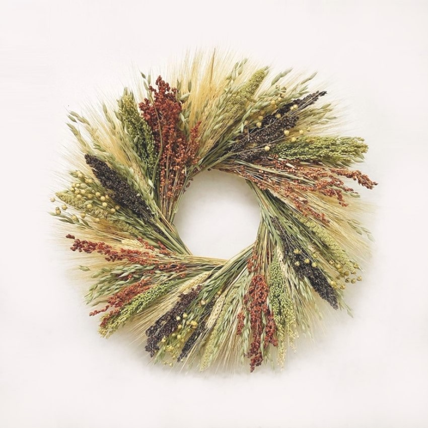 A fresh homemade wreath of blonde wheat, avena oats, sorgum, broom corn, prosso millet, China millet, and flax.