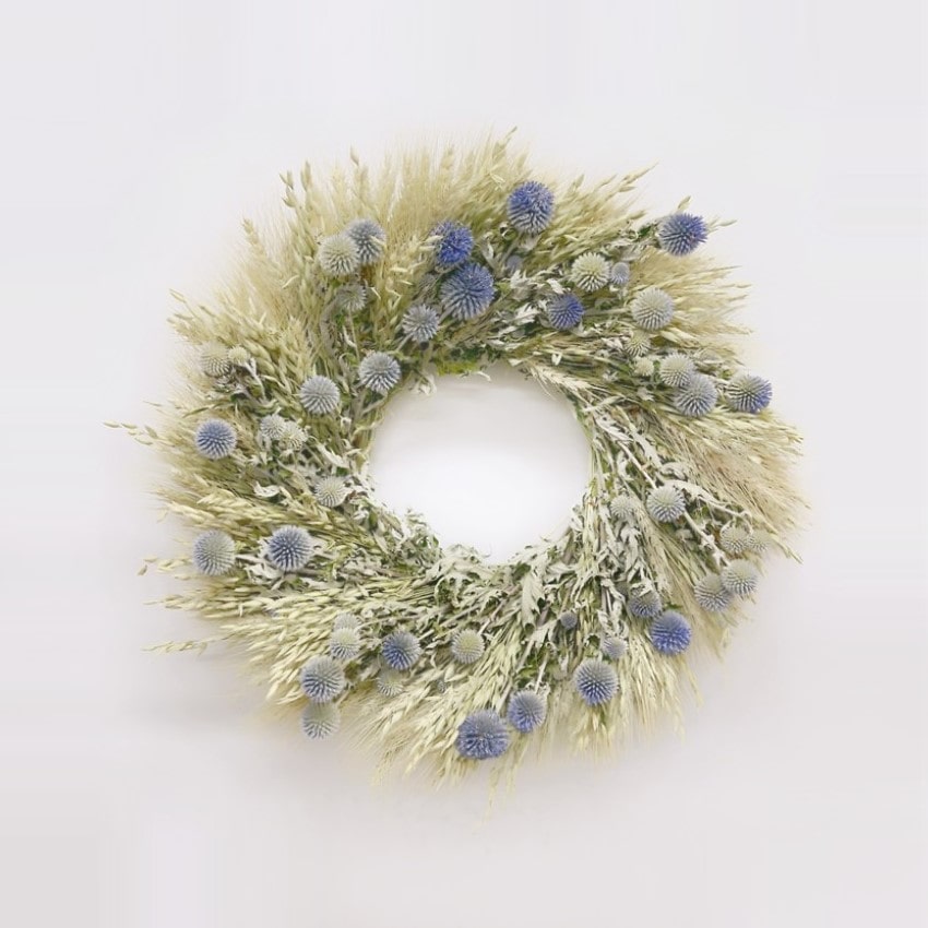 Almanac Planting Co fresh, hand-made wreath with green wheat, avena oats, and echinops.