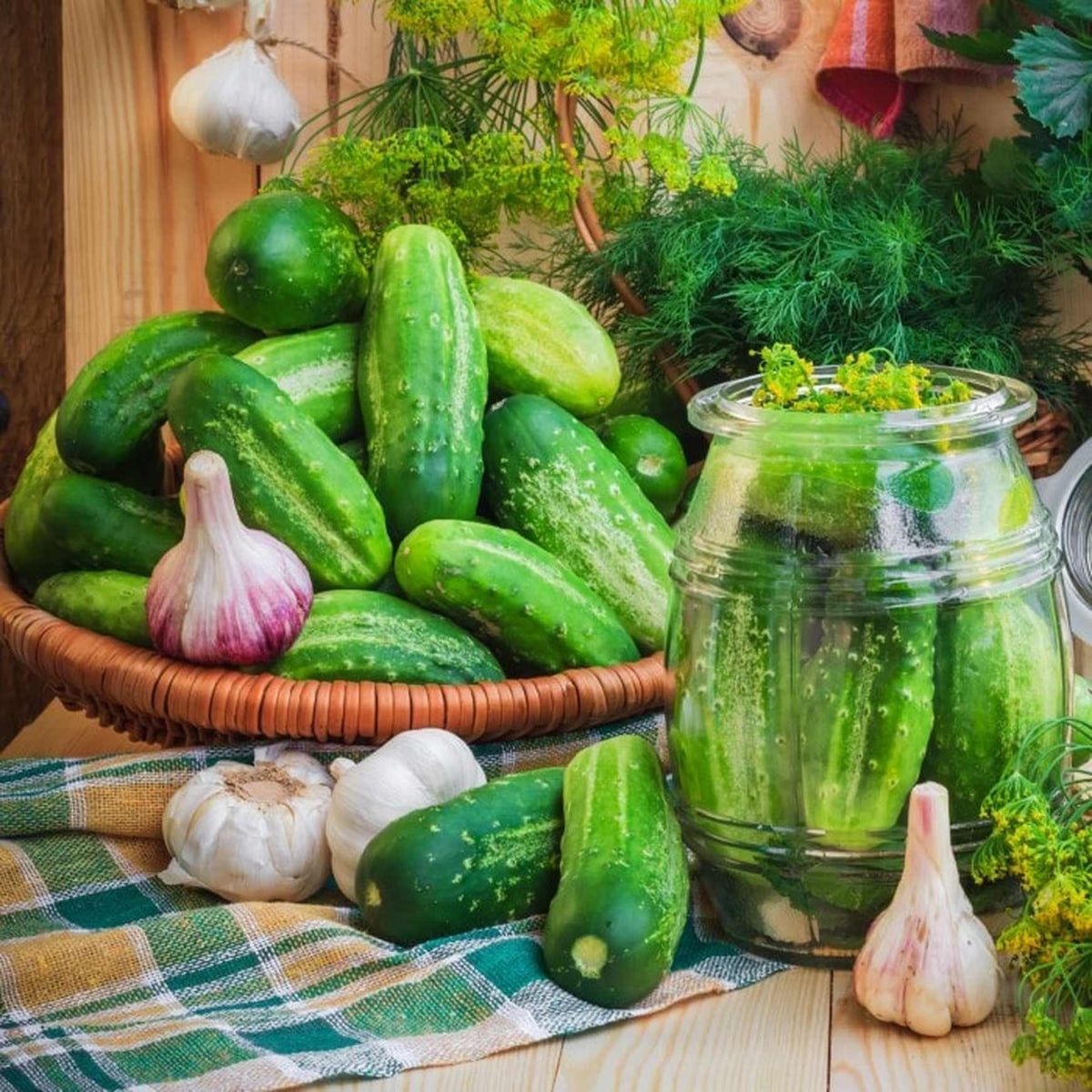 Almanac Planting Boston Pickling Cucumber (Cucumis sativus) on a table ready to be pickled 