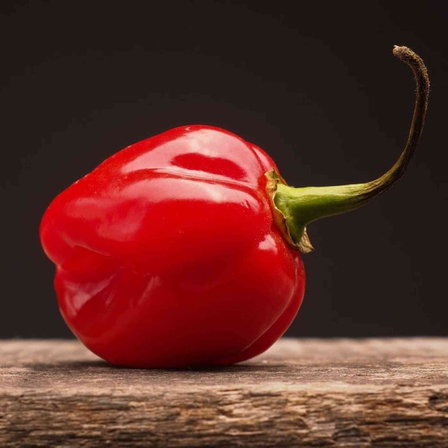 Almanac Planting Caribbean Red Habanero Pepper (Capsicum chinense)