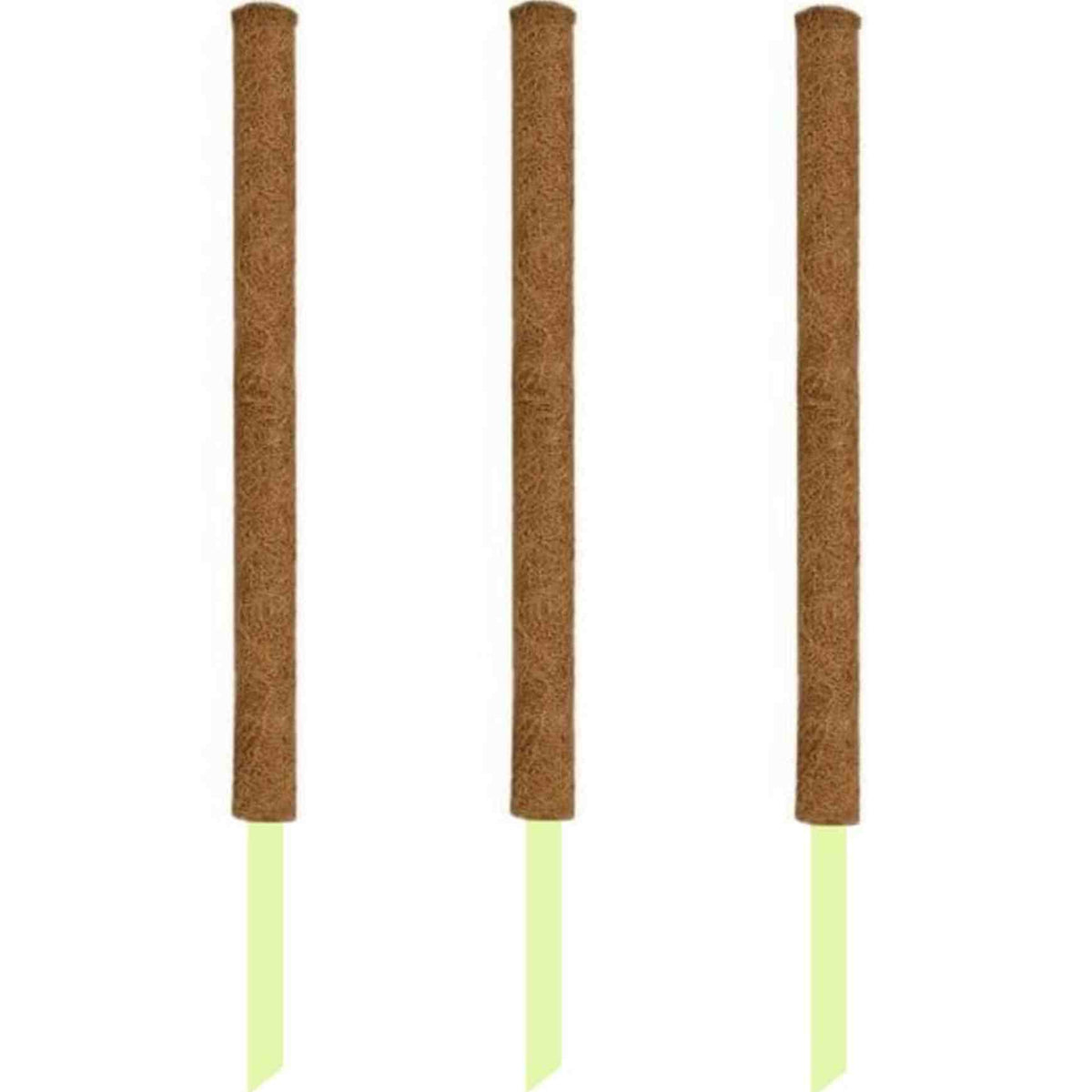 Almanac Planting Co Coco Coir Grow Pole for Climbing Plants