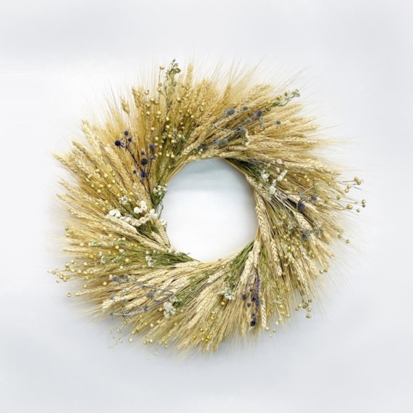 Almanac Planting Co. fresh wreath made with blonde wheat, pearly everlasting, flax, and eryngium.