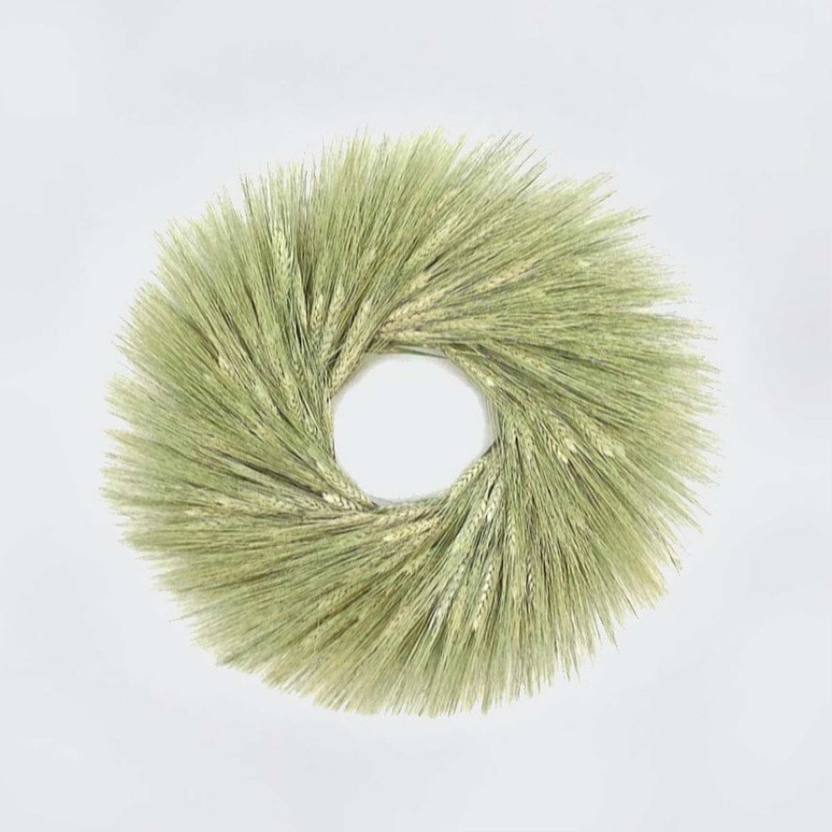 Almanac Planting Co fresh wreath made with green wheat.
