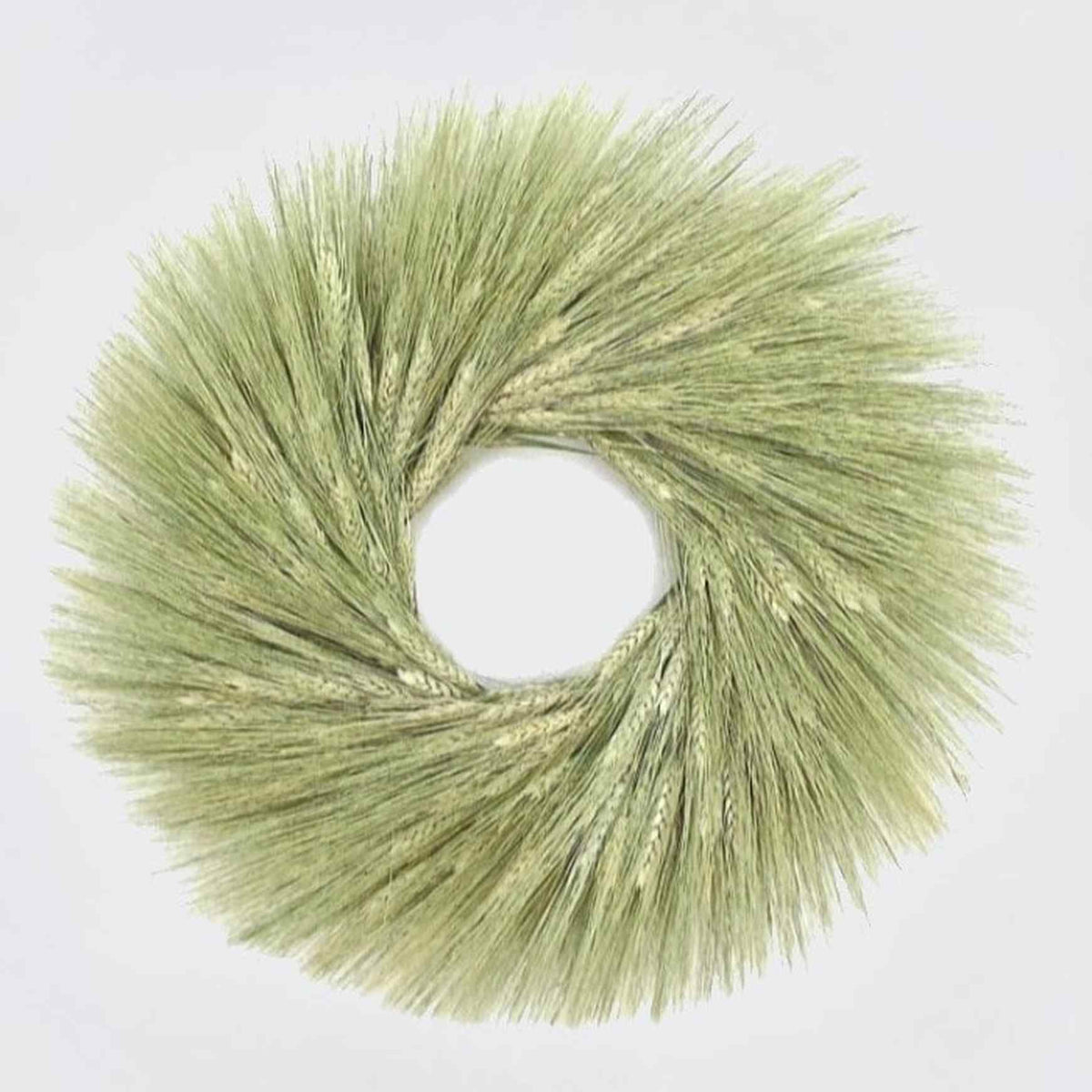 A handmade fresh wreath made with green wheat.