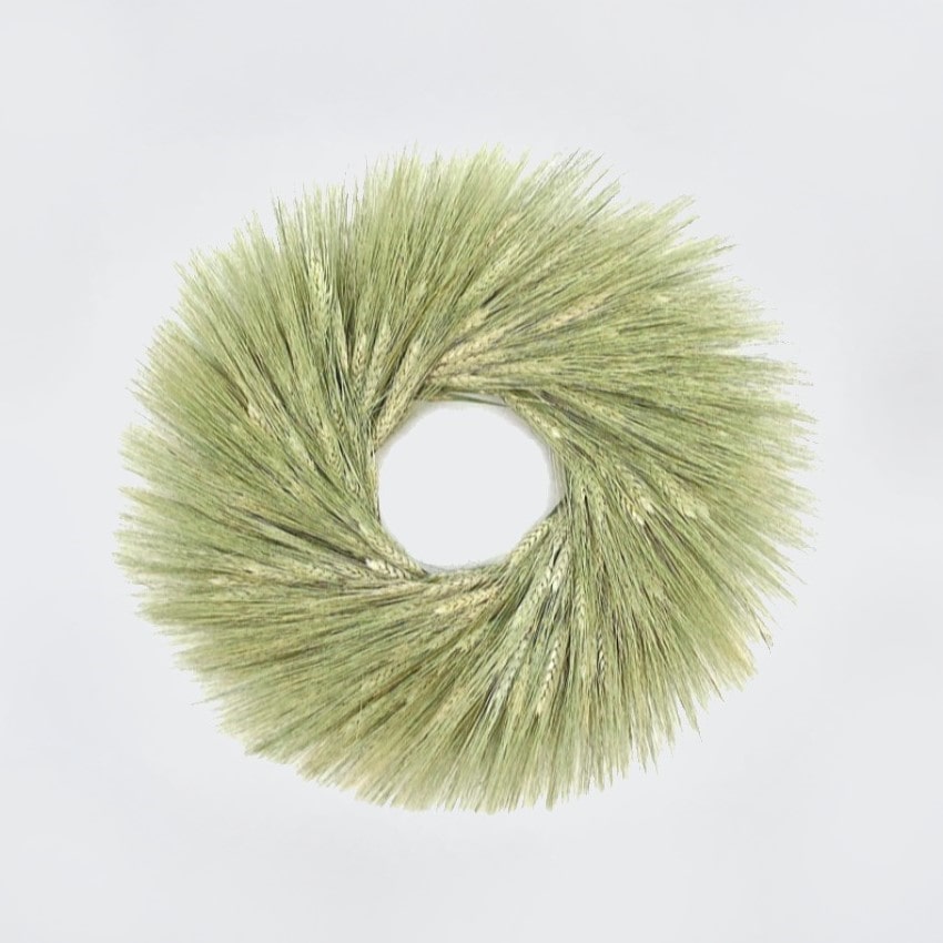 Almanac Planting Co fresh wreath made with green wheat.
