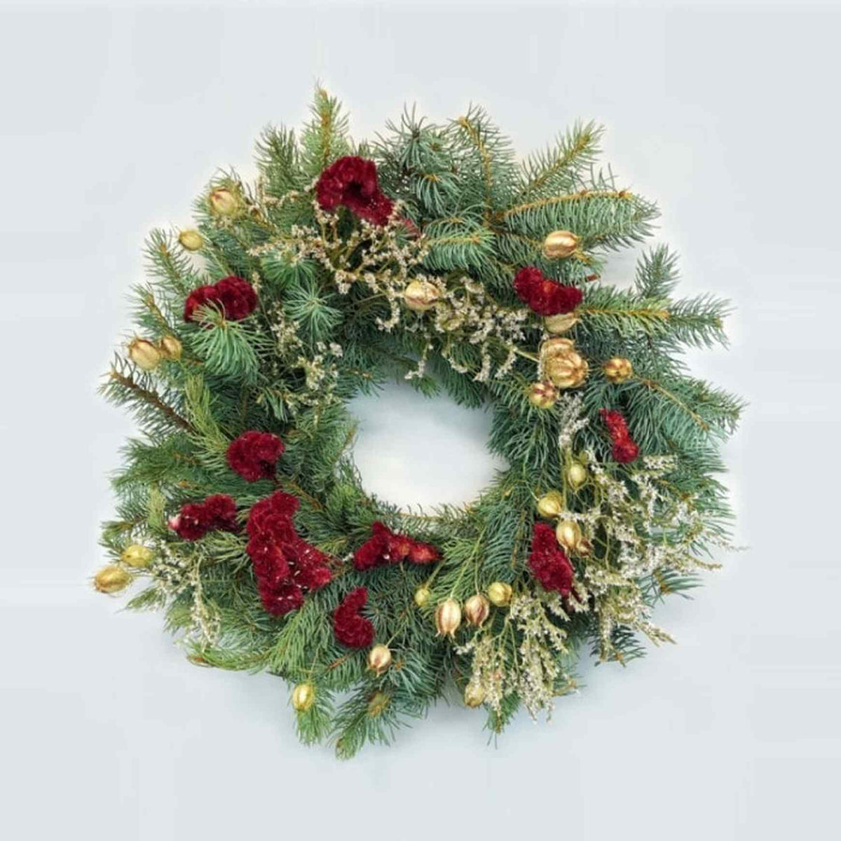 Almanac Planting Co Nigella Celosia Wreath