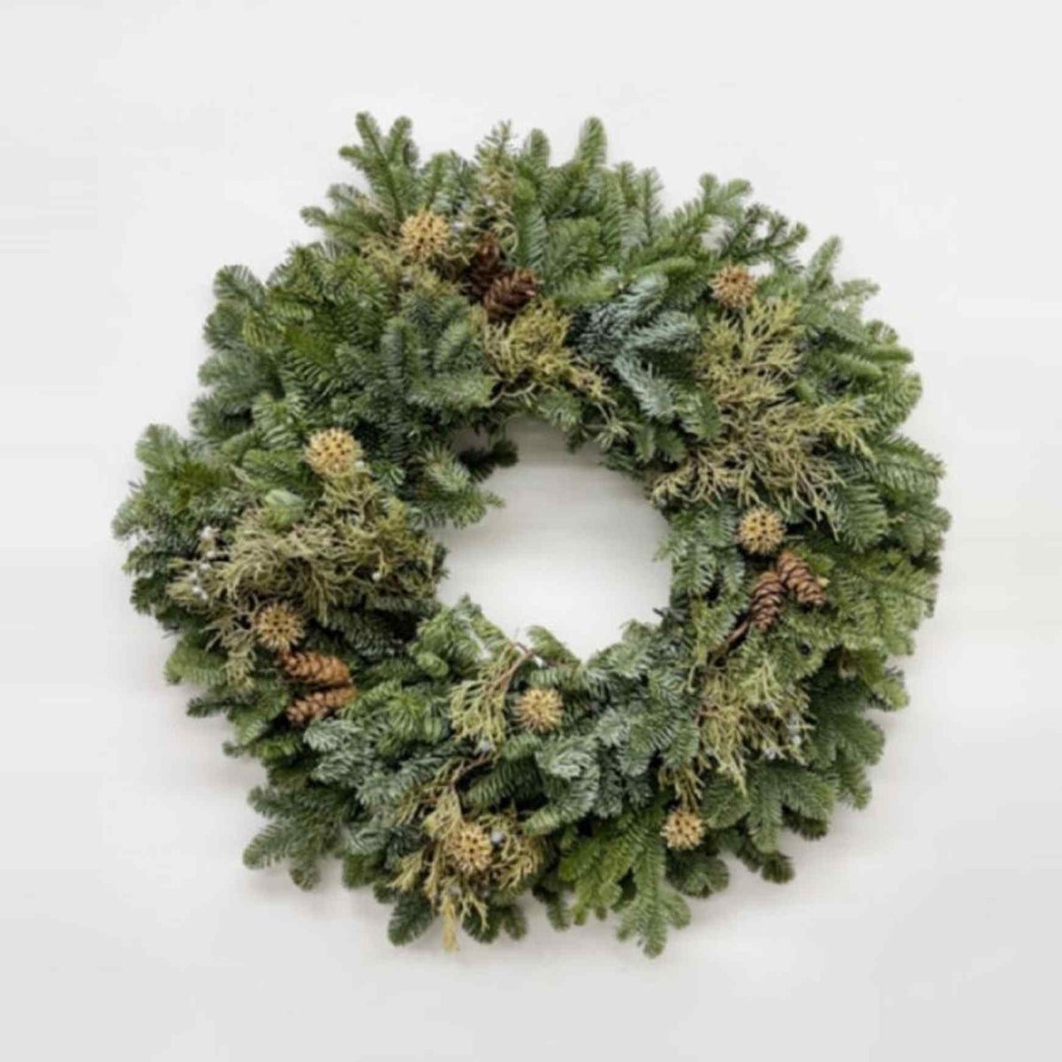 Almanac Planting Co Noble Juniper Wreath