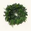 Almanac Planting Co Noble Cedar Wreath