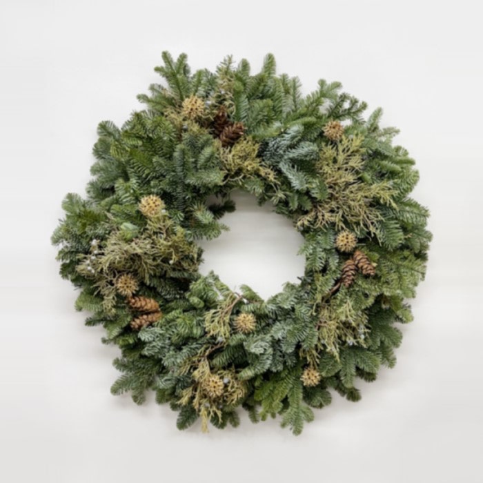 Almanac Planting Co Noble Juniper Wreath