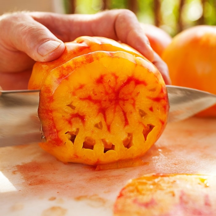 Almanac Planting Co Pineapple Tomato. This tomato is being sliced open with a knife. The marbled yellow, orange, and red flesh is exposed. 