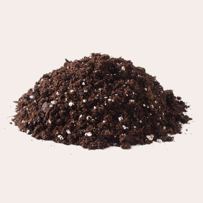 is potting mix soilless Soilless Potting Mix