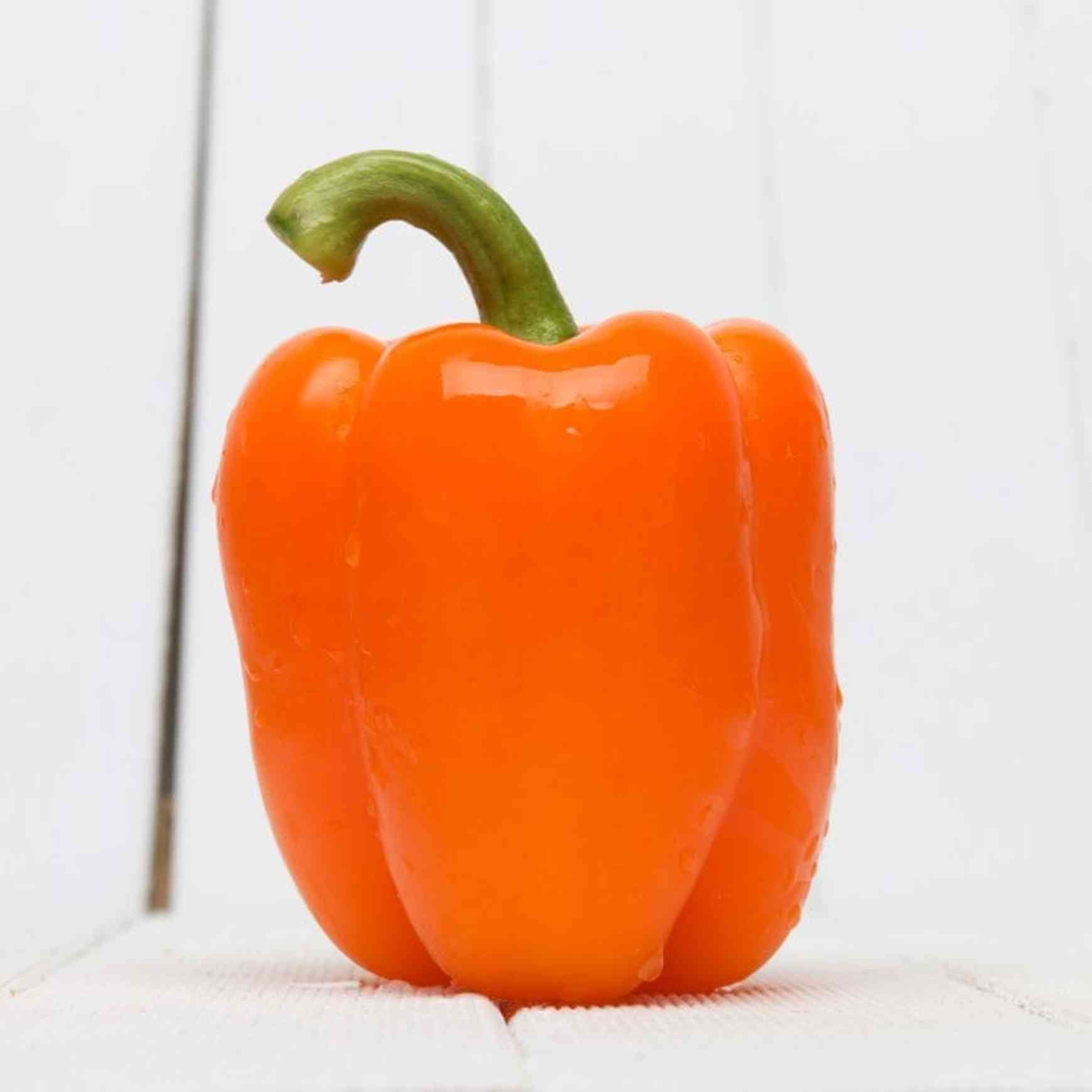 Almanac Planting Orange Bell Pepper (Capsicum annuum) on a white bench with a white board background