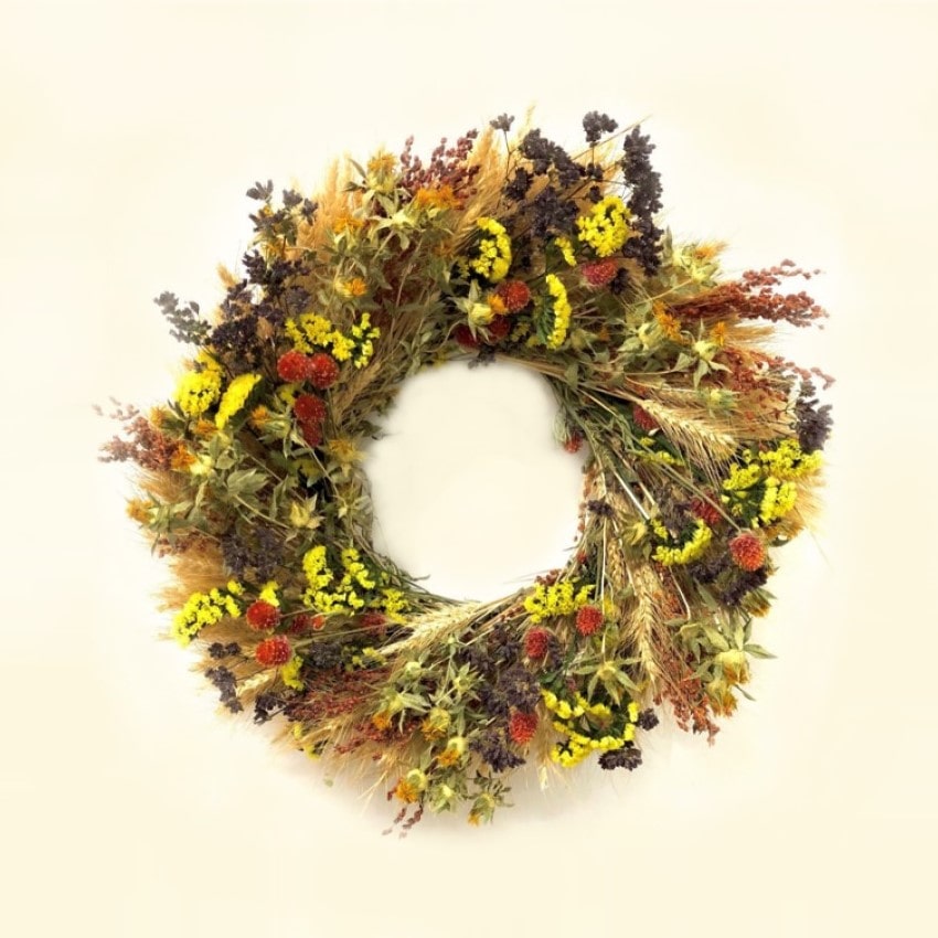 A fresh handmade wreath of blonde wheat, broom corn, oregano, yellow sinuata statice, red globe amaranth, and yellow safflower.